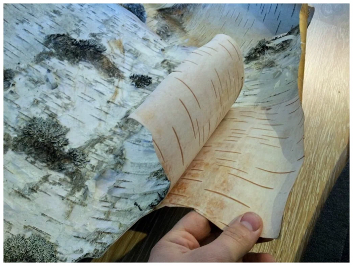 Почему сруб моего прадеда продержался несколько веков на голых камнях, а современные мембраны рассыпаются в пыль