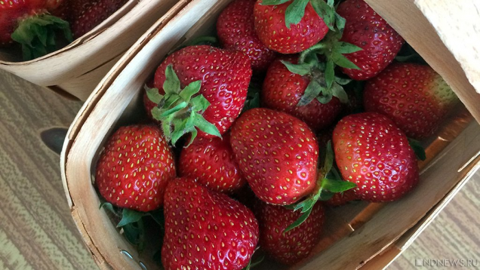 Что делать с дефицитами витаминов в межсезонье: советы специалиста Пироговского Университета