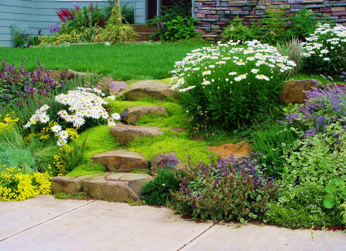 Клумба для дачи: как своими руками создать цветочный оазис (60 фото)