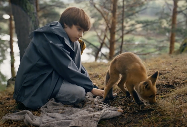 Лучшие фильмы про животных: 15 кинолент с высоким рейтингом