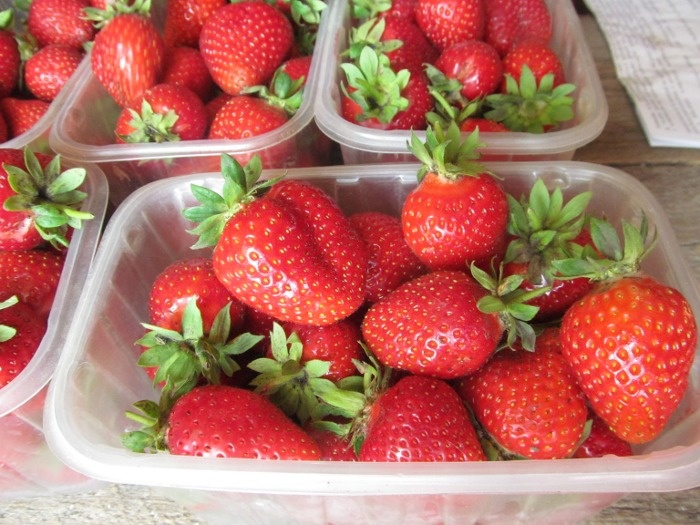 Кальциевая селитра для увеличения размера и плотности ягод клубники